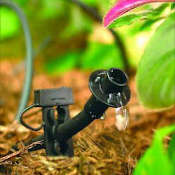 drip system in the flower bed