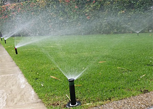 a tuned up sprinkler system in Missouri City TX